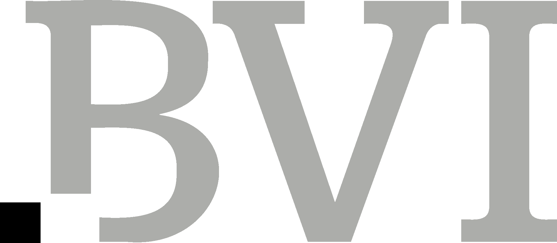 BVI Fondsverband Investment Und Asset Management New Logo Vector Logo